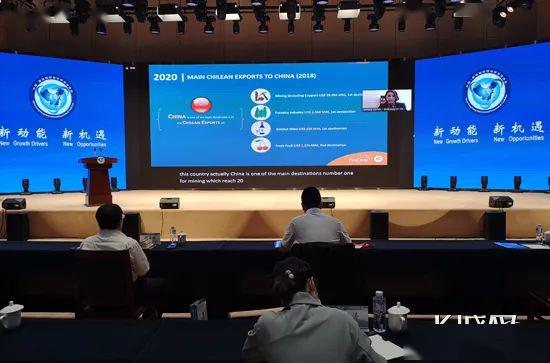 京津冀攜手共探跨境電商新路徑，線上對接會擘畫全球電商合作新藍圖